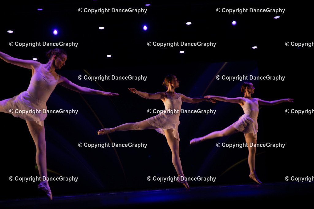 GPHY4073 | DanceGraphy - Realisiert mit Pictrs.com