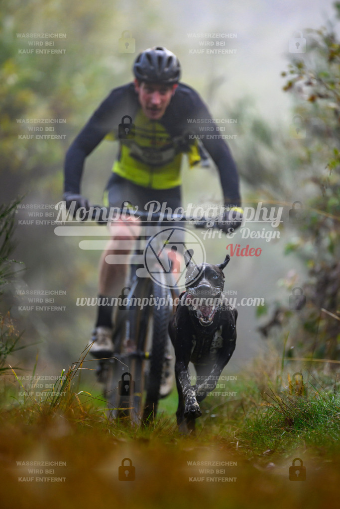 MompixPhotography_20TSB_E4_Bike-10 | PayLife