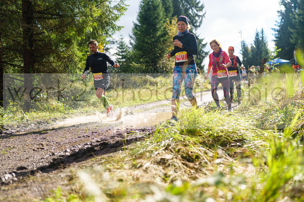 Herbstlauf 2024 | Rennsteig-Herbstlauf von Neuhaus am Rennweg nach Masserberg am 6. Oktober 2024