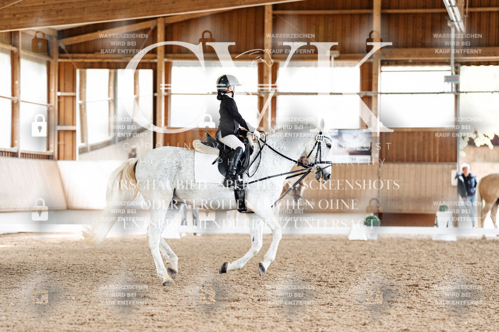 CK900421 | Turnierfotografie Pferdefotografie Trier Rheinland-Pfalz Pferdesport Reitsport Tierfotografie Sportfotografie Pferdevideo Pferdevideografie Equestrianvideography equestrianphotography  - Realisiert mit Pictrs.com