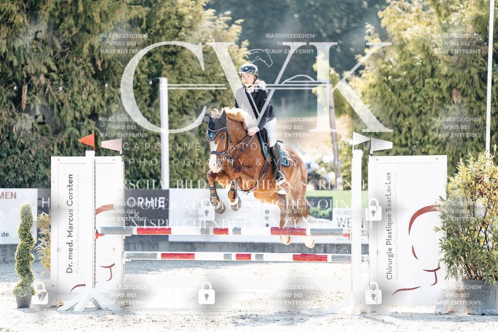 CK908230 | Turnierfotografie Pferdefotografie Trier Rheinland-Pfalz Pferdesport Reitsport Tierfotografie Sportfotografie Pferdevideo Pferdevideografie Equestrianvideography equestrianphotography  - Realisiert mit Pictrs.com