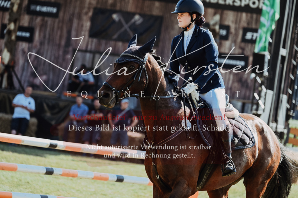 DSC_5872 | Pferde- und Turnierfotografie in Westsachsen. Pferdeportraits, Auftragszeichnungen und intuitive Kunst.