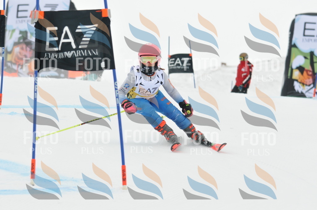 DSC_8148 | holidayphoto