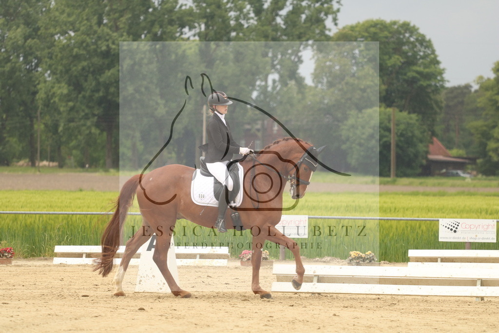 IMG_7058 | jessicahollubetz_pferdephotographie - Realisiert mit Pictrs.com