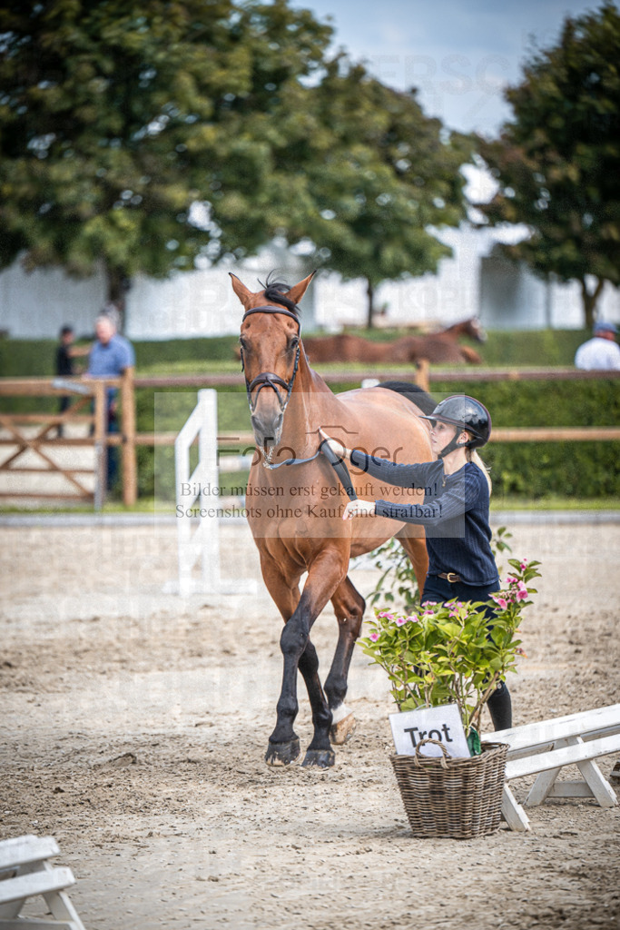 DOS_0707 | Entdecke hochwertige Reitturnierfotos von Foto Oger. Professionell, emotional und authentisch – jetzt Lieblingsmomente im Shop bestellen.Deutschlandweite Turnierfotografie. - Realisiert mit Pictrs.com