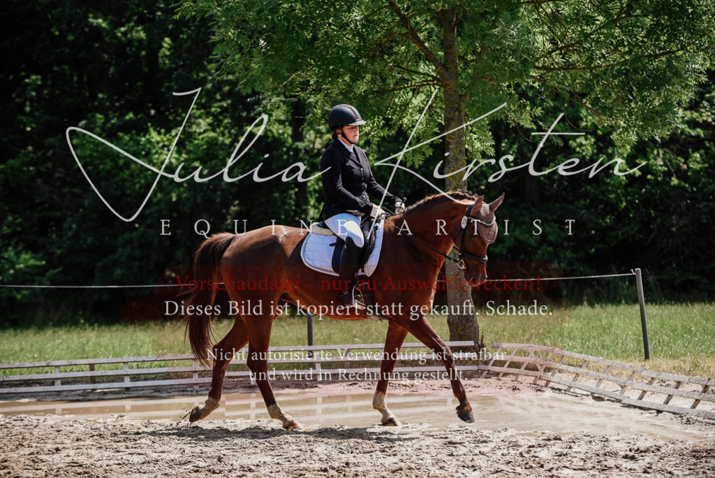 DSC_1294 | Pferde- und Turnierfotografie in Westsachsen. Pferdeportraits, Auftragszeichnungen und intuitive Kunst.