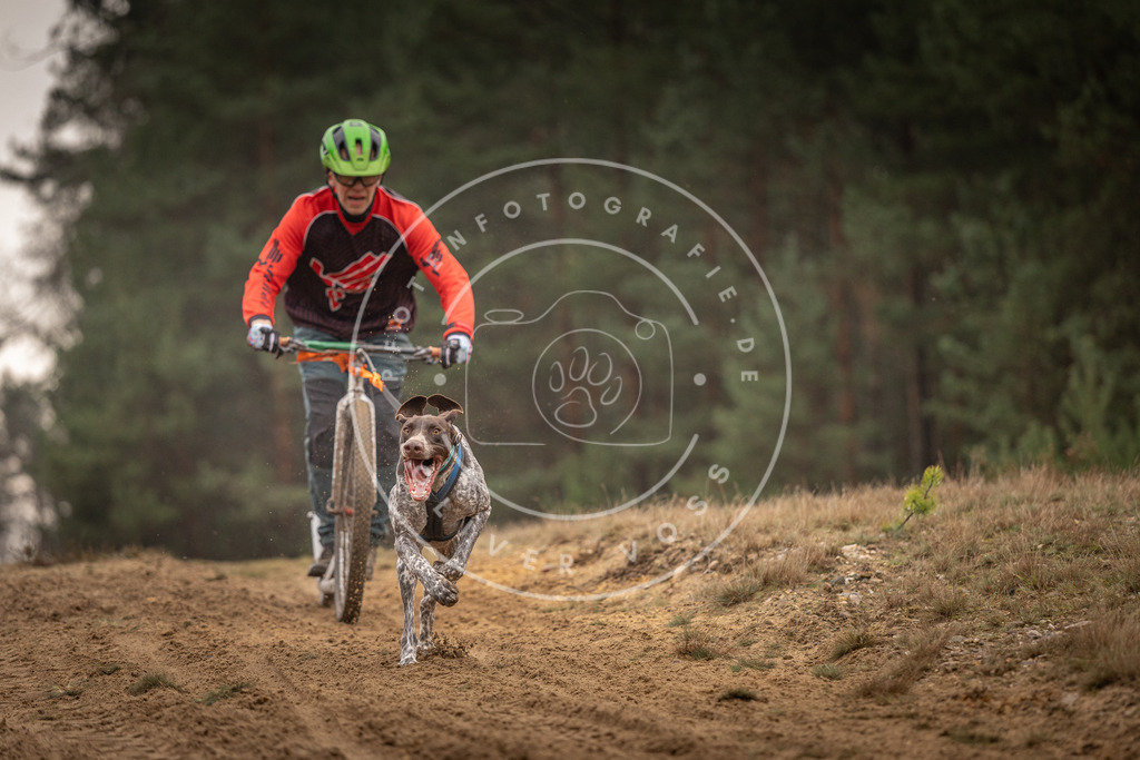 Pfotenfotografie_DV3A4685 | Hundefotografie, Tierfotograf, Pfotenfotografie, Fotoshooting Hund, Hunde Portrait, Hundesport, Hundeportraits, Heideshooting, Hunde, Sportfotograf, Hundefotograf, Turnierhundsport, THS,  - Realisiert mit Pictrs.com