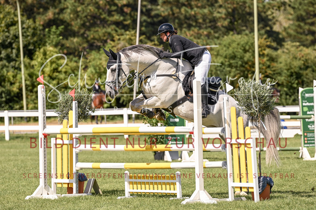 Schugtsche-Düren.2024-09.Springprf.L-108 | Schugtsche Fotografie - Realisiert mit Pictrs.com