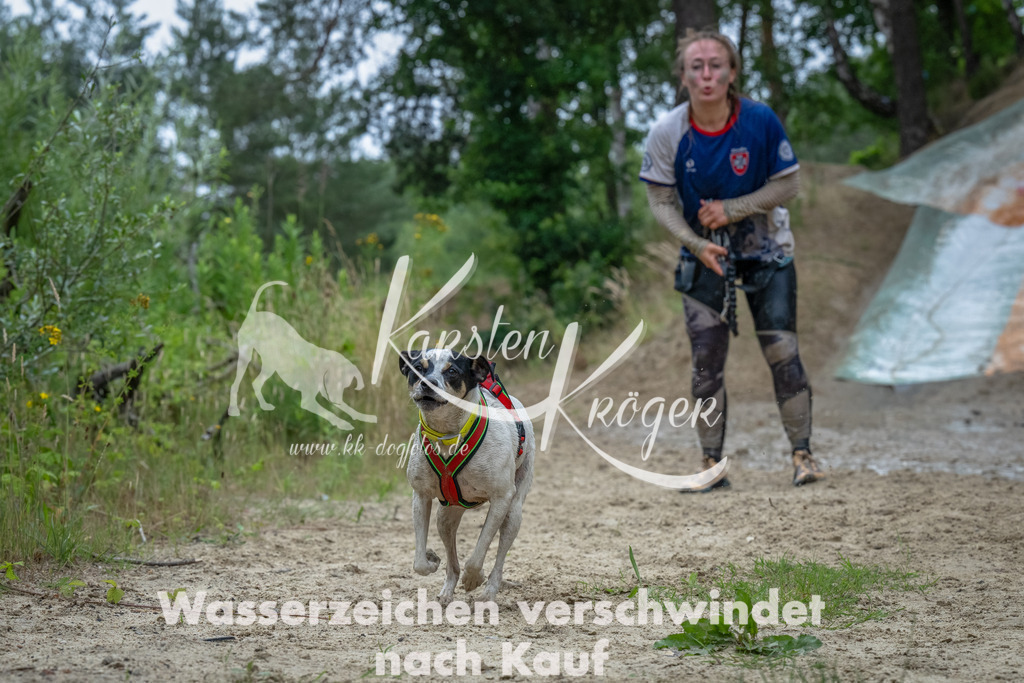 1656_ZZ91560-Bearbeitet | kk-dogfotos