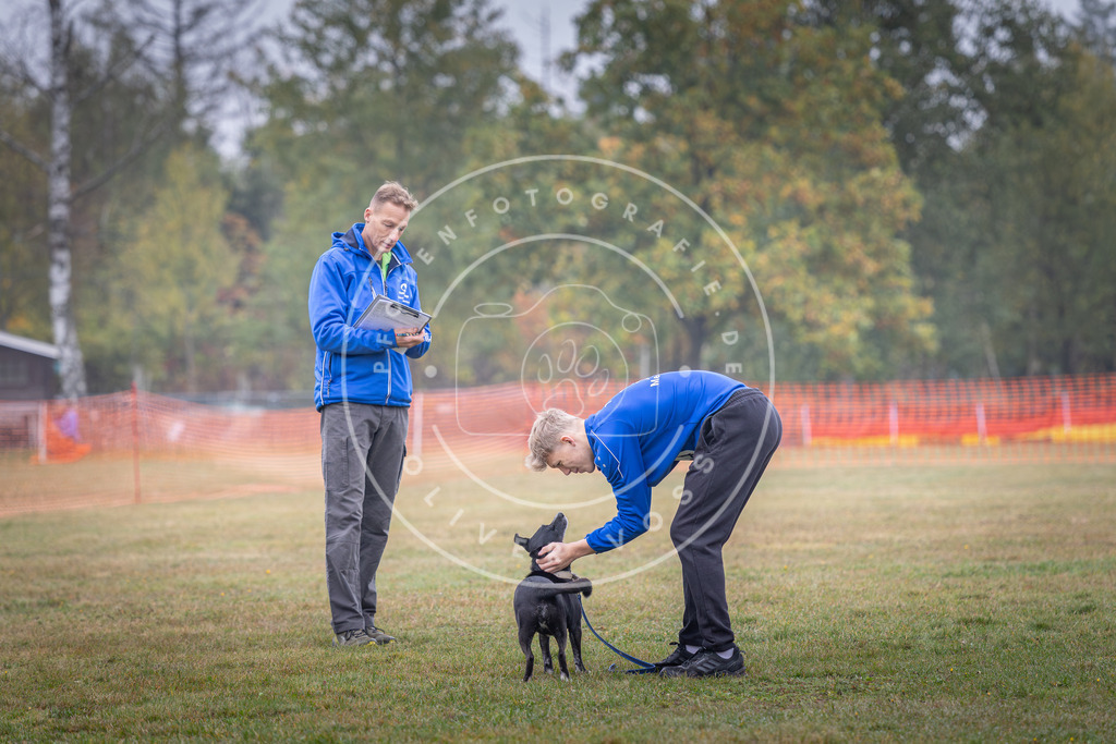 Pfotenfotografie_DV3A8897 | Hundefotografie, Tierfotograf, Pfotenfotografie, Fotoshooting Hund, Hunde Portrait, Hundesport, Hundeportraits, Heideshooting, Hunde, Sportfotograf, Hundefotograf, Turnierhundsport, THS,  - Realisiert mit Pictrs.com