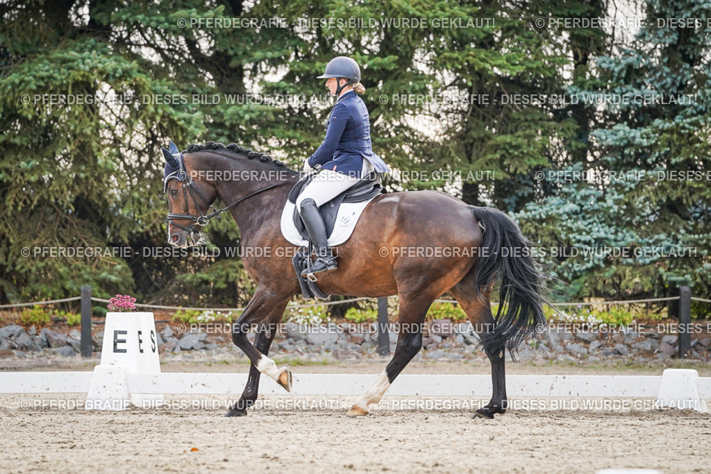 DSC00190 | Pferdegrafie