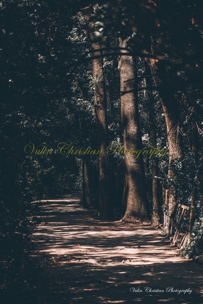 PH 9 | Christian Vulin  - Realisiert mit Pictrs.com