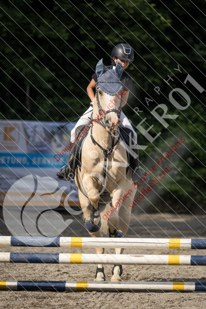 IMG_5922 | Sport-, Event- und Tierfotos in Profiqualität. Einfach auswählen, bestellen und herunterladen. Dein Moment – perfekt festgehalten.