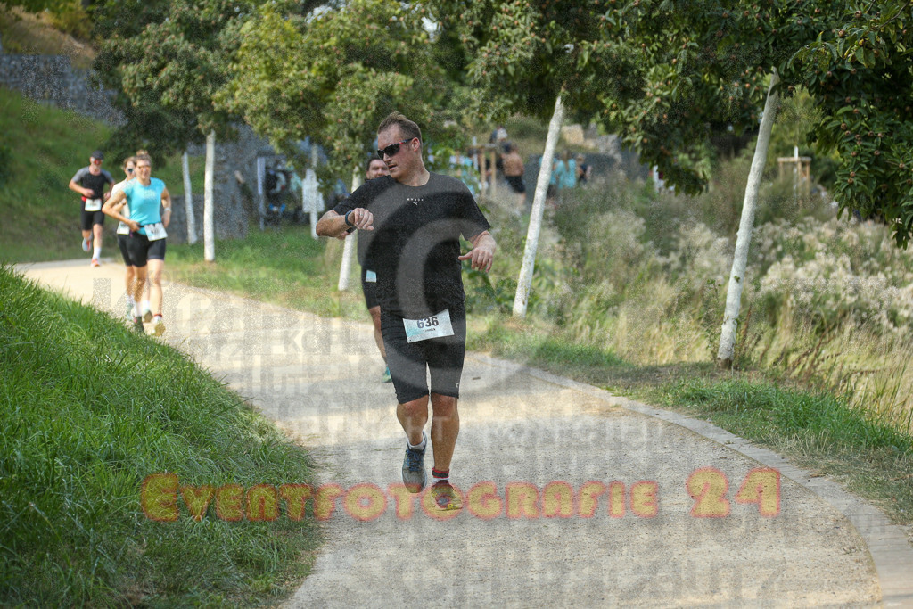 250824_1441_EX1_7159 | Sportfotografie im Rhein-Sieg Kreis, Köln, Bonn, NRW, Rheinland Pfalz, Hessen, etc. Unser Tätigkeitsfeld umfasst den Laufsport vom Volkslauf über den Marathon, Duathlon, Triathon bis zum Ultralauf wie Kölnpfad Ultra oder Schindertrail.