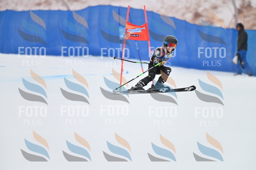 BGV_2776 | holidayphoto