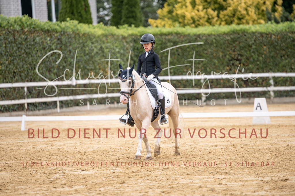 Schugtsche-Aluta25-40.DressurprfA_-442 | Schugtsche Fotografie - Realizzato con Pictrs.com