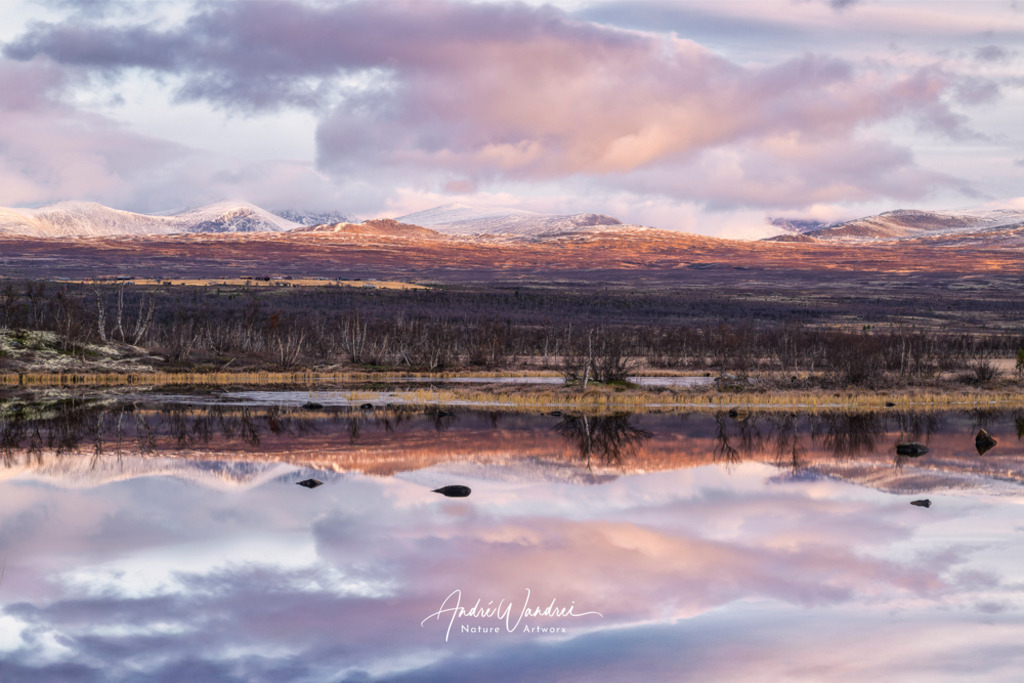 Morgendliche Spiegelung | Andre Wandrei - Nature Artworx - Realisiert mit Pictrs.com