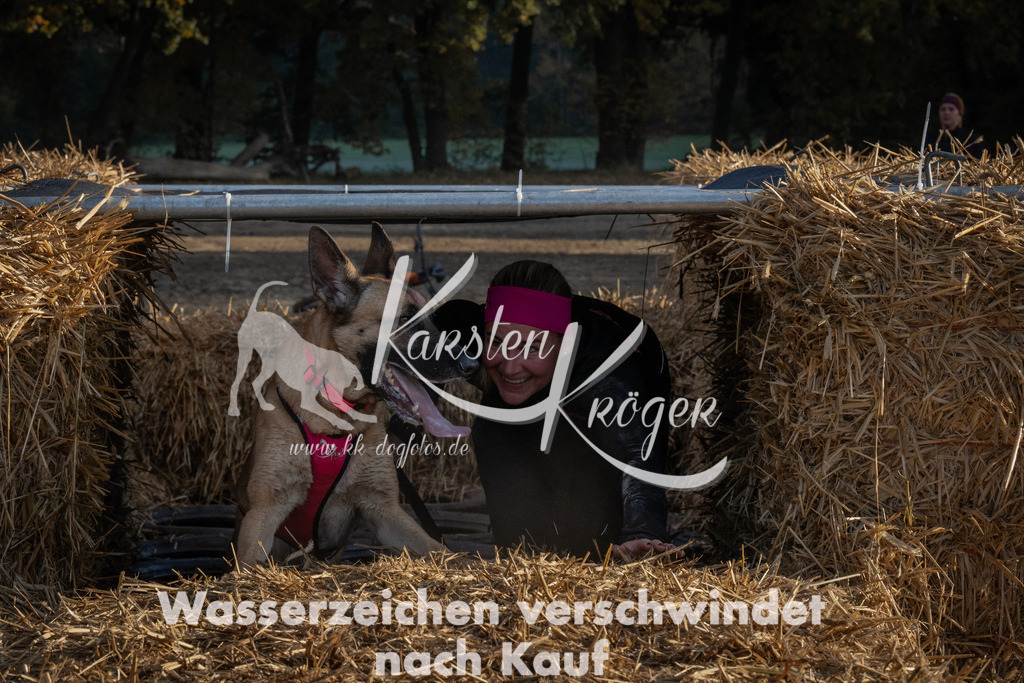 0944_ZZ94334 | kk-dogfotos
