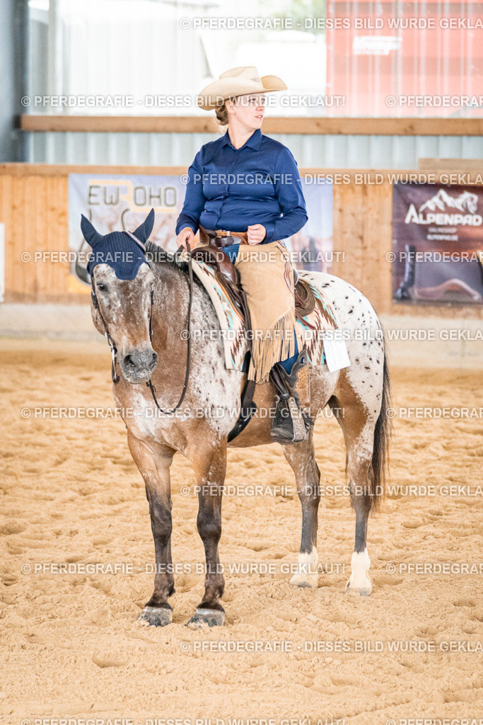 DSC01081 | Pferdegrafie