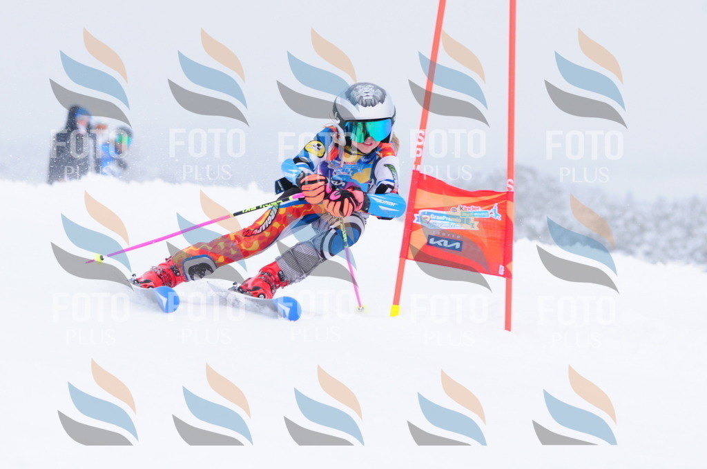 C3773 | holidayphoto