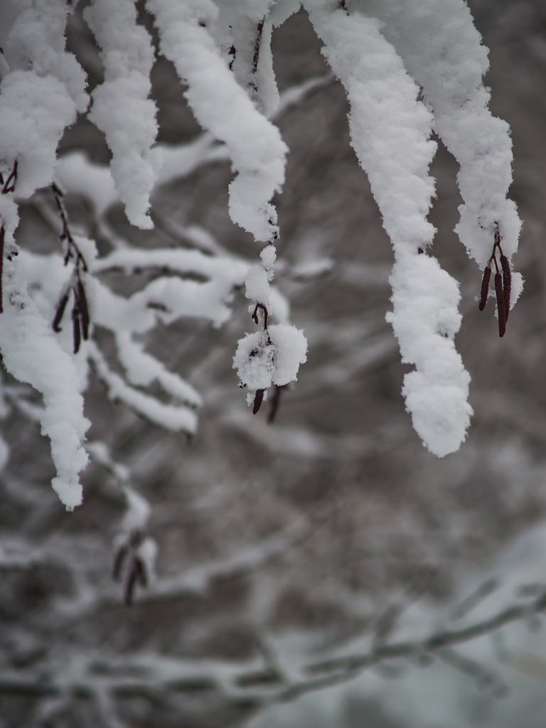 PSX_20230206_224433 | OLYMPUS DIGITAL CAMERA - Realisiert mit Pictrs.com