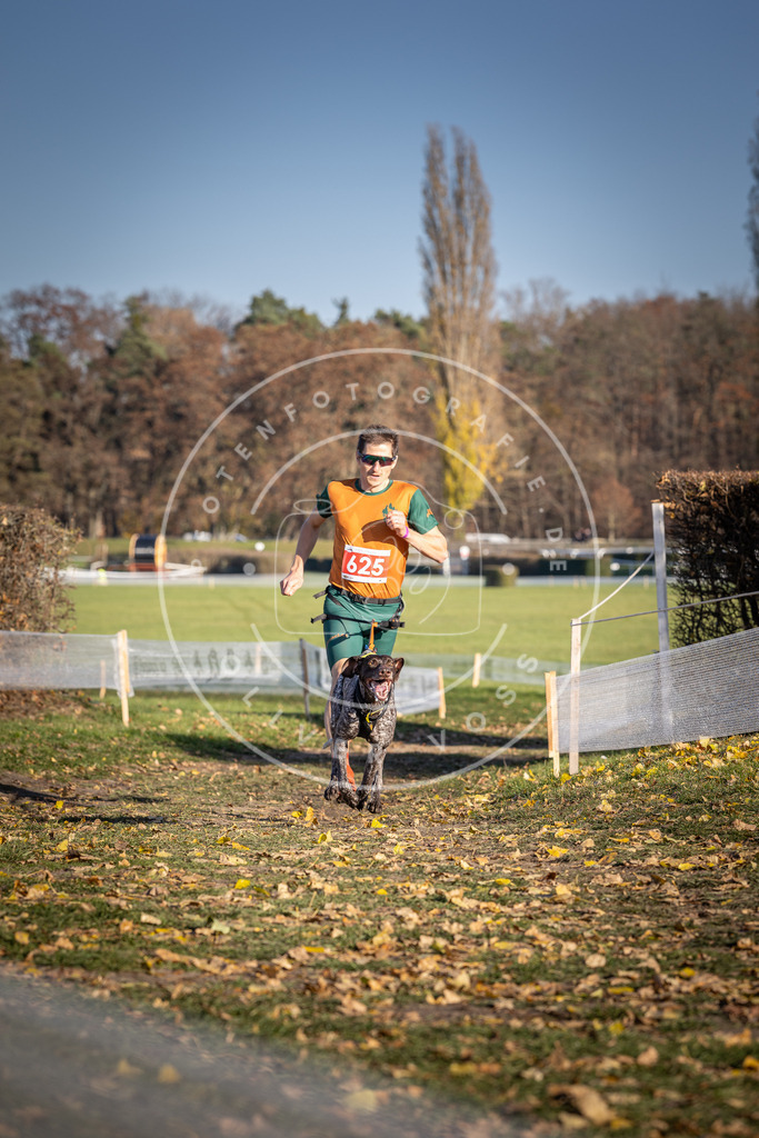 CaniXpix_DV3A9986 | Hundefotografie, Tierfotograf, Pfotenfotografie, Fotoshooting Hund, Hunde Portrait, Hundesport, Hundeportraits, Heideshooting, Hunde, Sportfotograf, Hundefotograf, Turnierhundsport, THS,  - Realisiert mit Pictrs.com