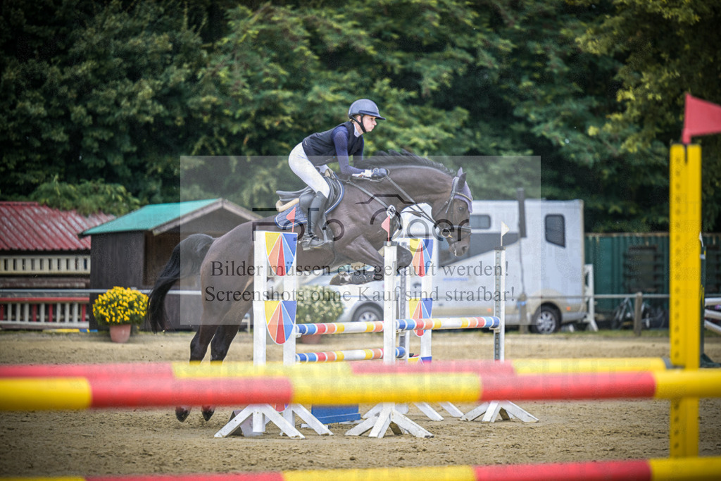 DOS_9099 | Entdecke hochwertige Reitturnierfotos von Foto Oger. Professionell, emotional und authentisch – jetzt Lieblingsmomente im Shop bestellen.Deutschlandweite Turnierfotografie. - Realisiert mit Pictrs.com