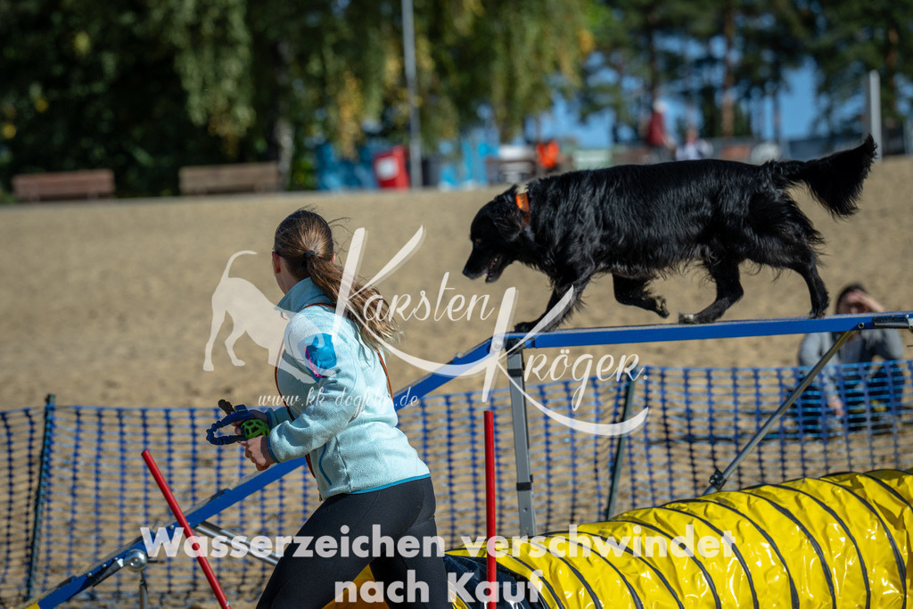 1130_ZZ91392 | kk-dogfotos