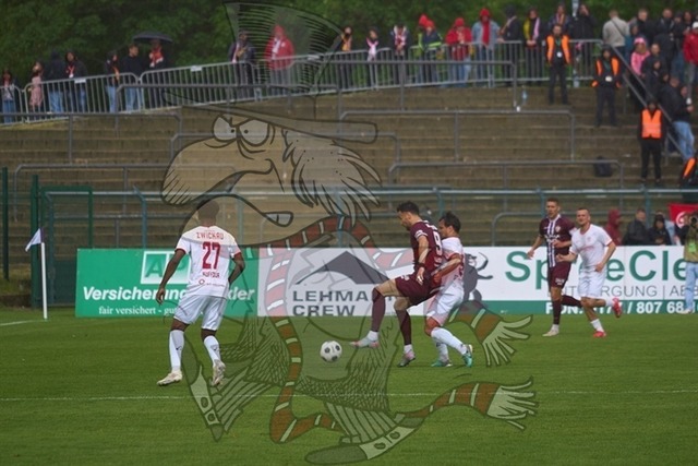BFC Dynamo vs. FSV Zwickau 049 | mythos-online-redaktion