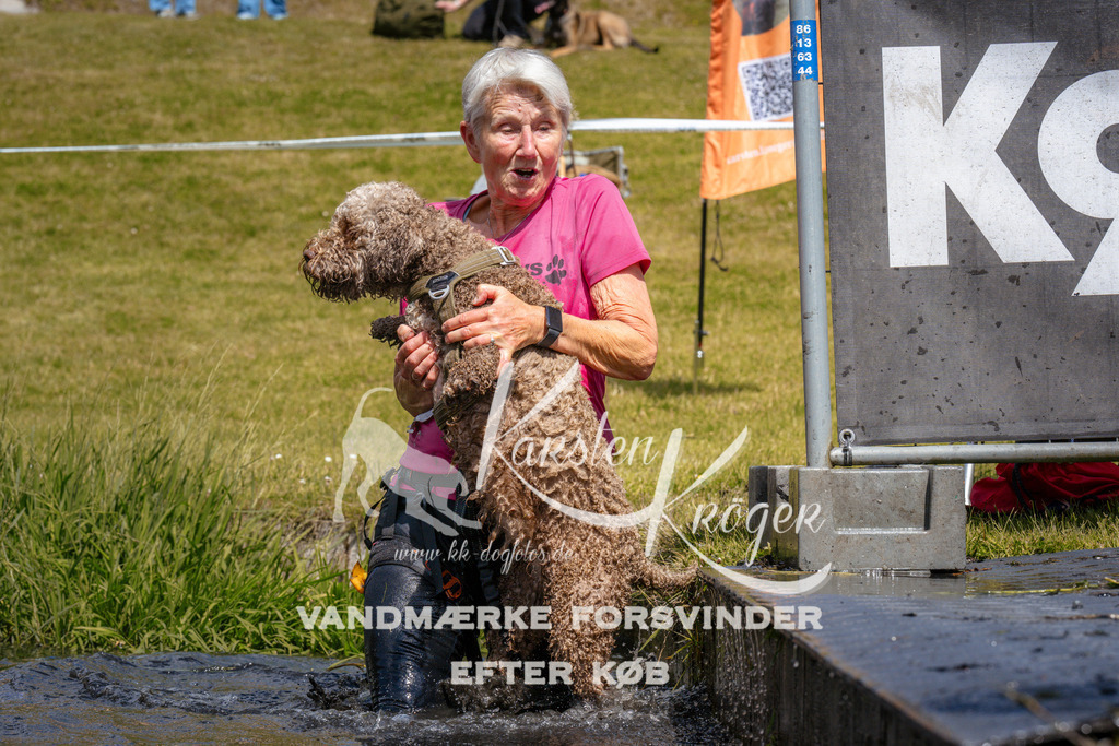 _ZZ991201050 | kk-dogfotos