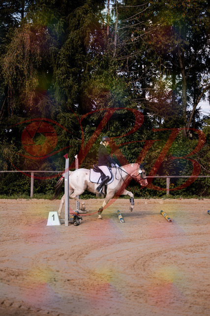 2026_10_03_Siefer-Hof_144155_Z81_14283505 | Professionelle Reitsport-, Turnier- und Eventfotografie von Robert Broda. Galerien mit ausgewählten und bearbeiteten Bildern direkt online ansehen und bestellen.