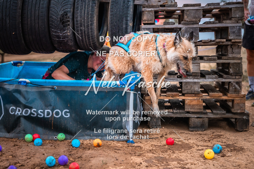 nelerasche_SummerNights26-Sa2000-2100_105 | nelerasche