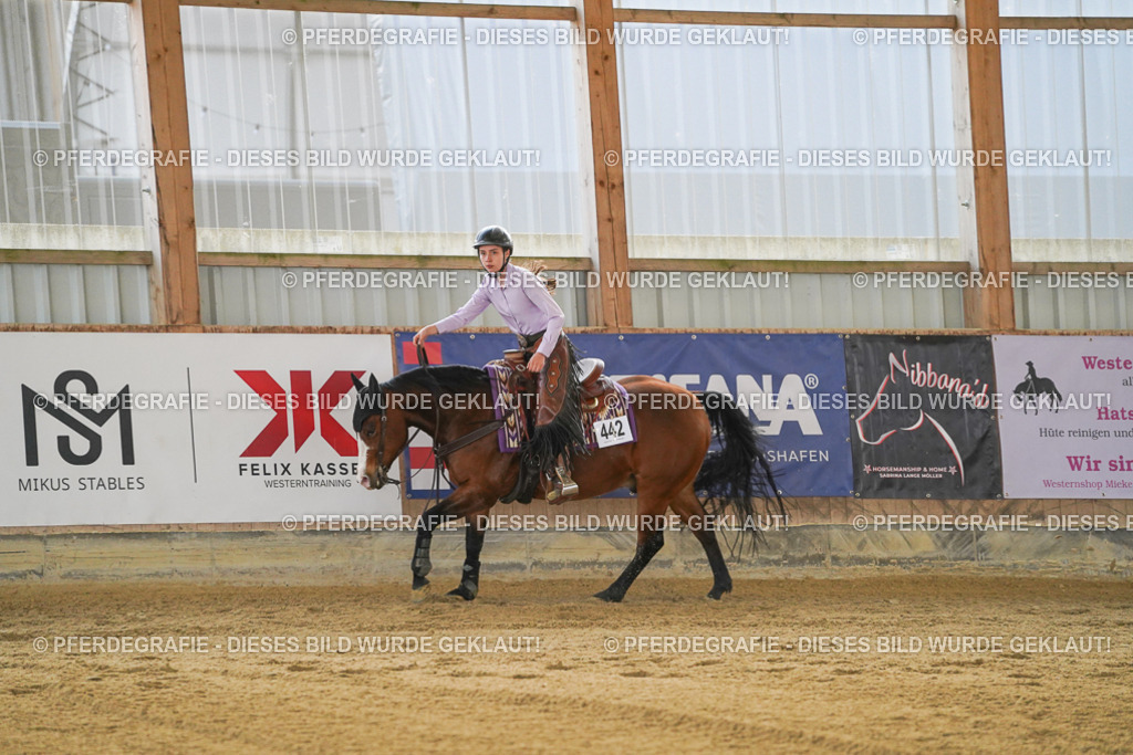 DSC08809 | Pferdegrafie