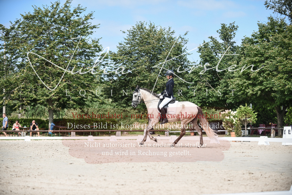 DSC_8702 | Pferde- und Turnierfotografie in Westsachsen. Pferdeportraits, Auftragszeichnungen und intuitive Kunst.