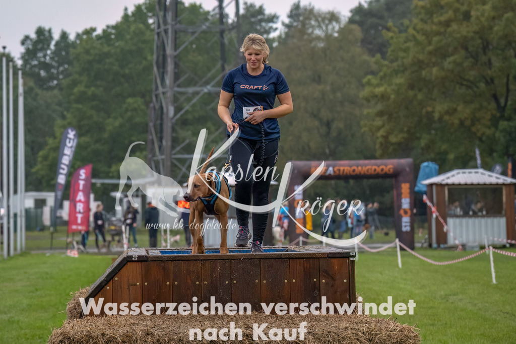1227--3 | kk-dogfotos