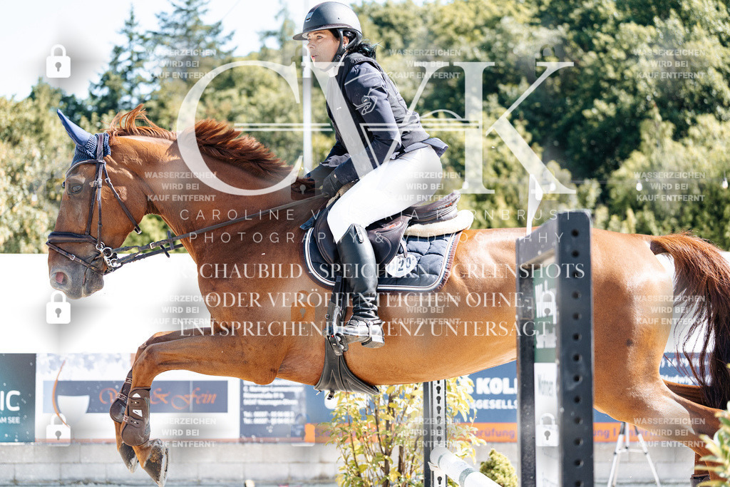 CK908411 | Turnierfotografie Pferdefotografie Trier Rheinland-Pfalz Pferdesport Reitsport Tierfotografie Sportfotografie Pferdevideo Pferdevideografie Equestrianvideography equestrianphotography  - Realisiert mit Pictrs.com