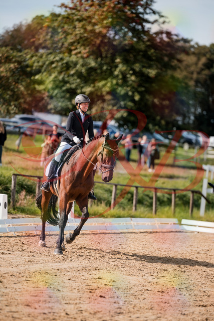 2026_10_03_Siefer-Hof_122909_Z63_50227278 | Professionelle Reitsport-, Turnier- und Eventfotografie von Robert Broda. Galerien mit ausgewählten und bearbeiteten Bildern direkt online ansehen und bestellen.