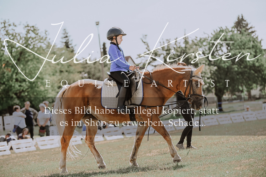 DSC_7508 | Pferde- und Turnierfotografie in Westsachsen. Pferdeportraits, Auftragszeichnungen und intuitive Kunst.