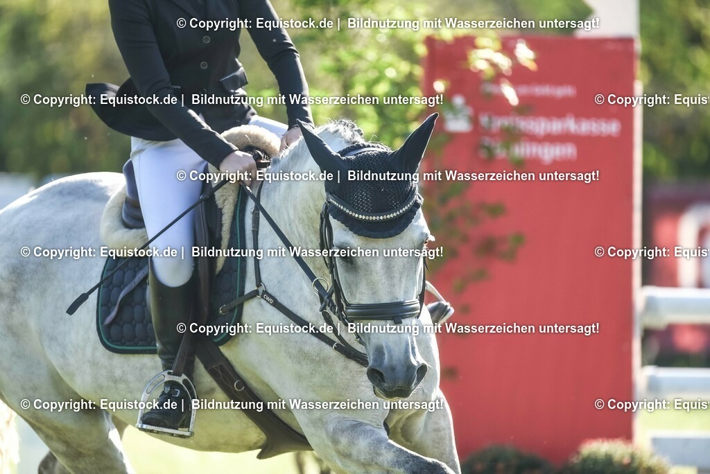 20230909_12_Stilspringen_A_0118 | Foto: Thomas Hartig