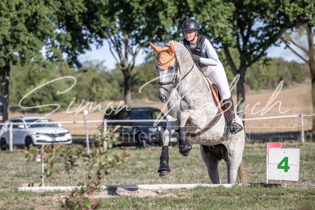 20260906-_3LI1428 | Tierfotografie Pferde, Hunde, Katzen, Haustiere.
Turnierfotografie Reitturniere, Reiten, Springreiten, Dressur in Hanau, dem Main-Kinzig-Kreis und dem Rhein-Main- Gebiet um Frankfurt