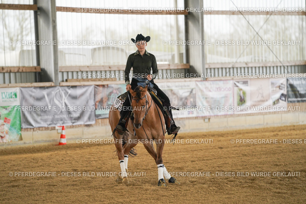 DSC07982 | Pferdegrafie