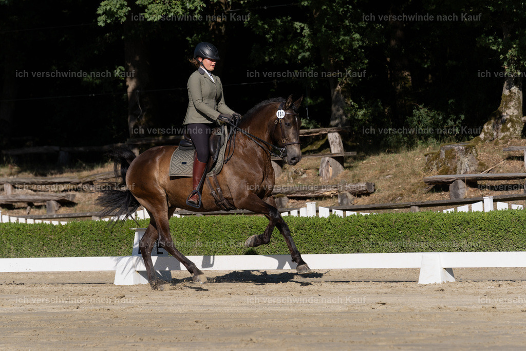 WM_DR_131_sinafilmart_IN04386 | working equitationturnier fotograf videograf stoibphotography marixx film working equitation deutschland reitsport turnierfotografie eventfotografie equestrian events