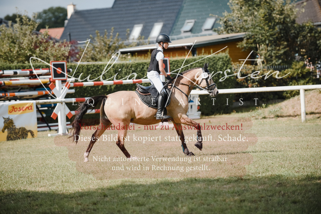 DSC_5319 | Pferde- und Turnierfotografie in Westsachsen. Pferdeportraits, Auftragszeichnungen und intuitive Kunst.