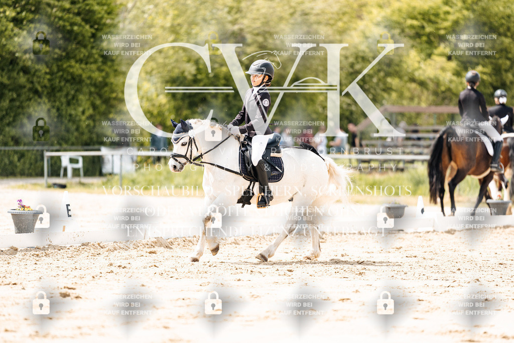 CK901836 | Turnierfotografie Pferdefotografie Trier Rheinland-Pfalz Pferdesport Reitsport Tierfotografie Sportfotografie Pferdevideo Pferdevideografie Equestrianvideography equestrianphotography  - Realisiert mit Pictrs.com