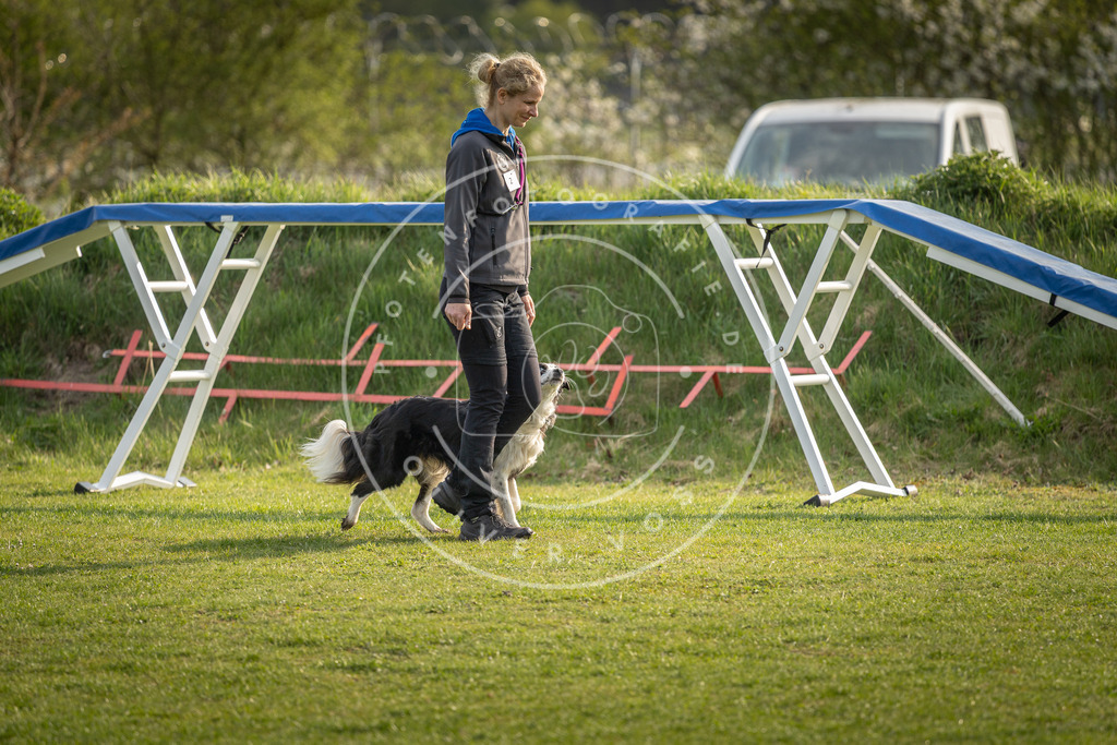 Pfotenfotografie_DV3A4742 | Hundefotografie, Tierfotograf, Pfotenfotografie, Fotoshooting Hund, Hunde Portrait, Hundesport, Hundeportraits, Heideshooting, Hunde, Sportfotograf, Hundefotograf, Turnierhundsport, THS,  - Realisiert mit Pictrs.com