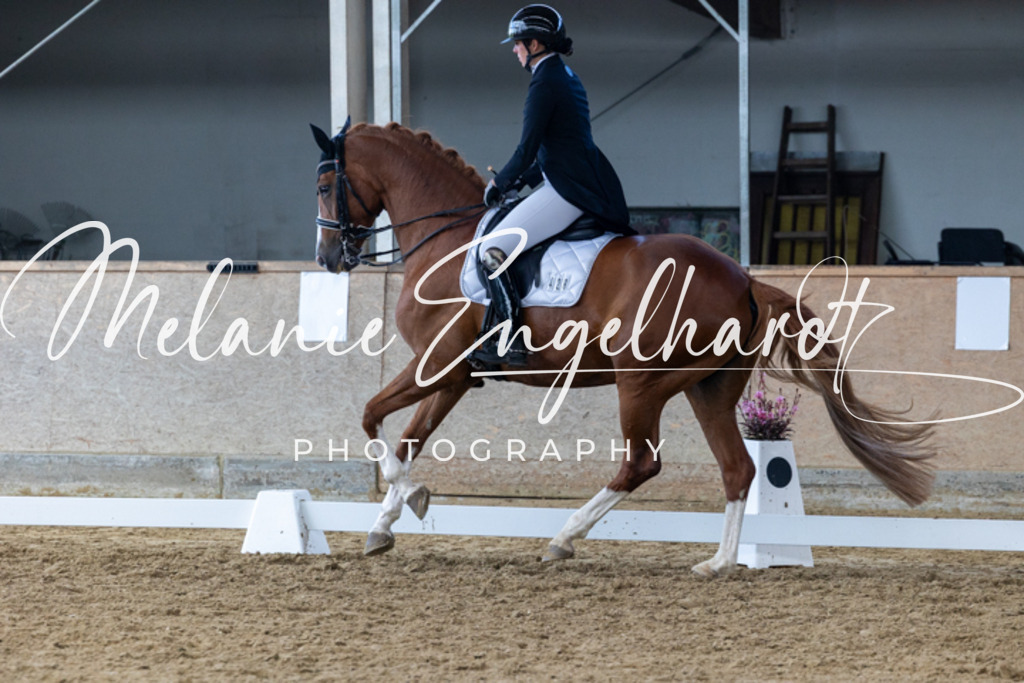 7I8A8358 | melanie-engelhardt-photography - Realisiert mit Pictrs.com