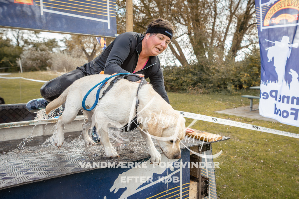 1350_ZZ92364-2 | kk-dogfotos