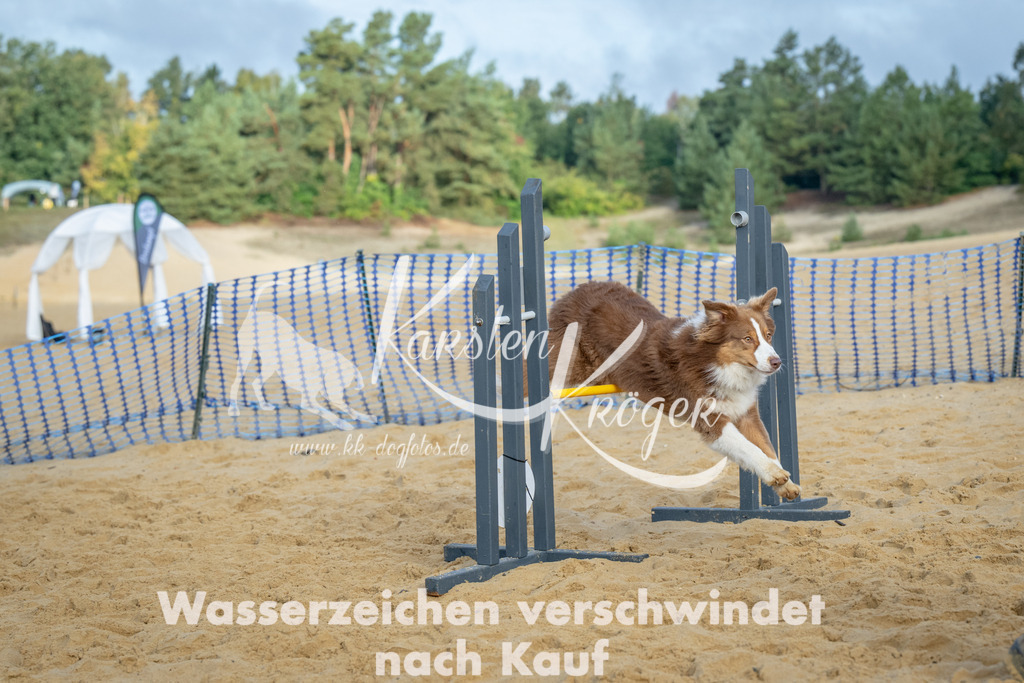 0927_ZZ92432 | kk-dogfotos