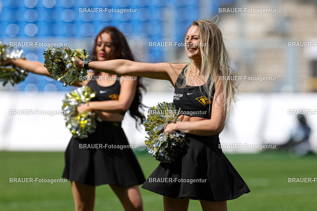 097_Ravens_20230827_0554 | BRAUER-Fotoagentur