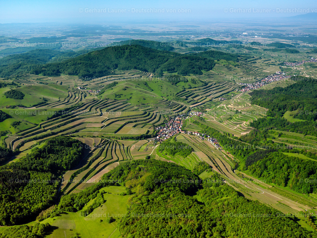3096249 | Terrassenweinberge, Kaiserstuhl bei Schelingen